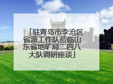驻青岛市李沧区省派工作队莅临山东省地矿局二四八大队调研座谈