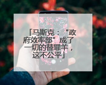 马斯克：“政府效率部”成了一切的替罪羊，这不公平