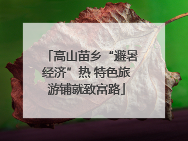 高山苗乡“避暑经济”热 特色旅游铺就致富路