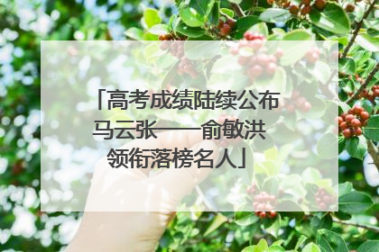 高考成绩陆续公布 马云张一一俞敏洪领衔落榜名人