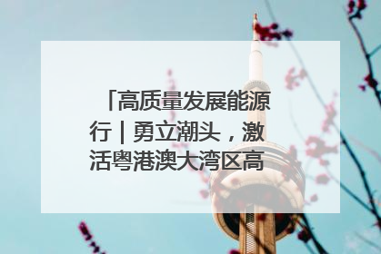 高质量发展能源行｜勇立潮头，激活粤港澳大湾区高质量发展动力源