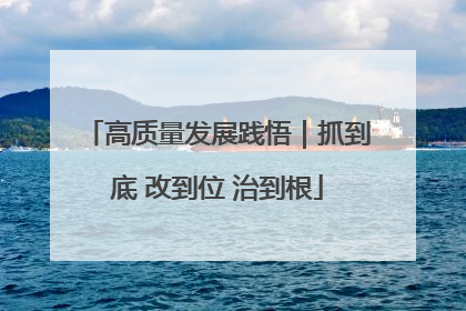 高质量发展践悟｜抓到底 改到位 治到根
