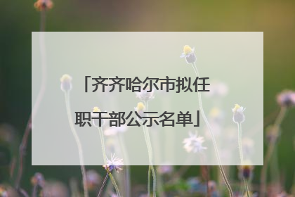 齐齐哈尔市拟任职干部公示名单
