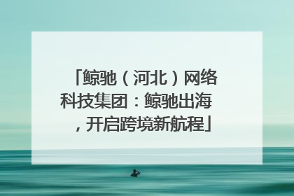 鲸驰（河北）网络科技集团：鲸驰出海，开启跨境新航程