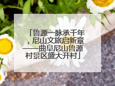鲁源一脉承千年，尼山文旅启新章——曲阜尼山鲁源村景区盛大开村