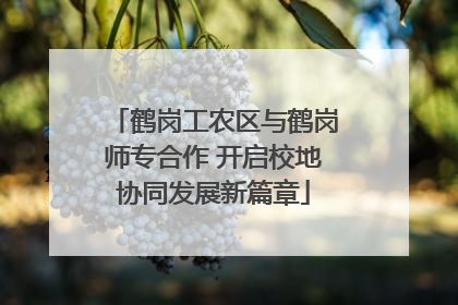鹤岗工农区与鹤岗师专合作 开启校地协同发展新篇章