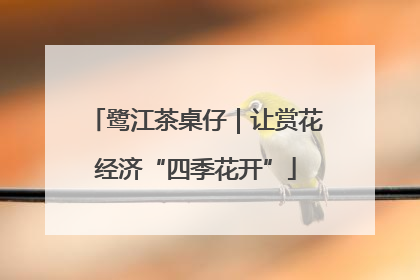 鹭江茶桌仔｜让赏花经济“四季花开”