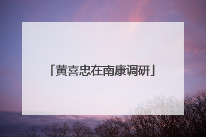 黄喜忠在南康调研