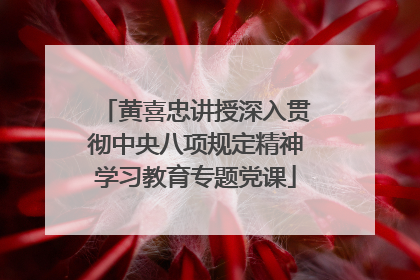 黄喜忠讲授深入贯彻中央八项规定精神学习教育专题党课