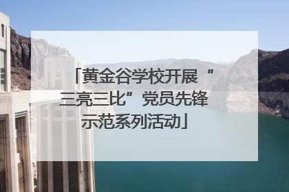 黄金谷学校开展“三亮三比”党员先锋示范系列活动
