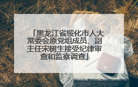 黑龙江省绥化市人大常委会原党组成员、副主任宋树生接受纪律审查和监察调查