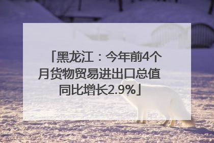 黑龙江：今年前4个月货物贸易进出口总值同比增长2.9%
