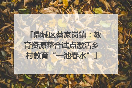 鼎城区蔡家岗镇：教育资源整合试点激活乡村教育“一池春水”