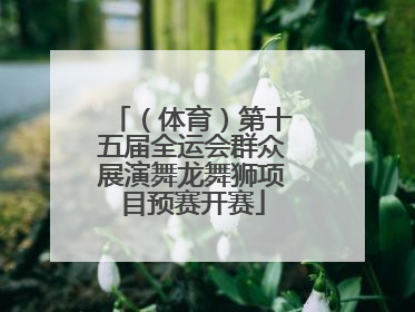 （体育）第十五届全运会群众展演舞龙舞狮项目预赛开赛