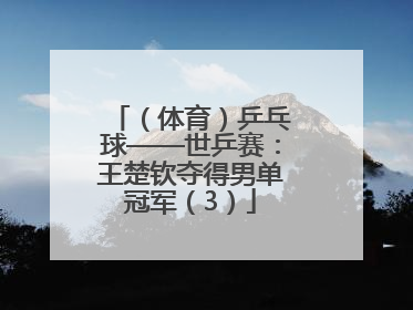 （体育）乒乓球——世乒赛：王楚钦夺得男单冠军（3）