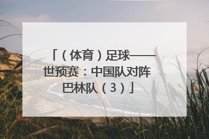 （体育）足球——世预赛：中国队对阵巴林队（3）