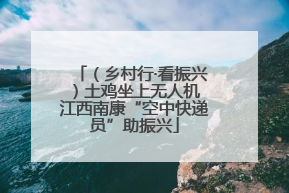 （乡村行·看振兴）土鸡坐上无人机 江西南康“空中快递员”助振兴