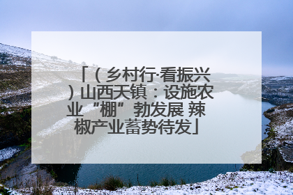 （乡村行·看振兴）山西天镇：设施农业“棚”勃发展 辣椒产业蓄势待发