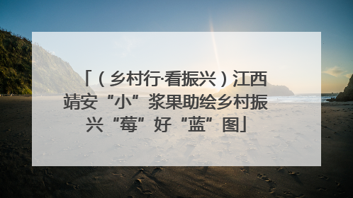 （乡村行·看振兴）江西靖安“小”浆果助绘乡村振兴“莓”好“蓝”图