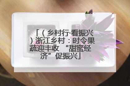 （乡村行·看振兴）浙江乡村：时令果蔬迎丰收 “甜蜜经济”促振兴