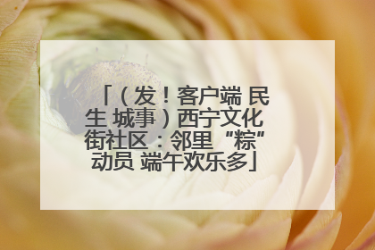 （发！客户端 民生 城事）西宁文化街社区：邻里“粽”动员 端午欢乐多