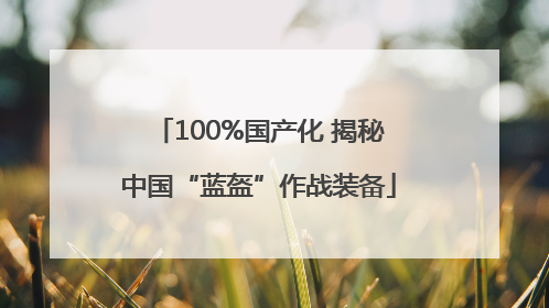 100%国产化 揭秘中国“蓝盔”作战装备