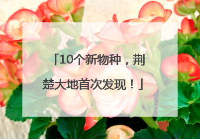 10个新物种，荆楚大地首次发现！