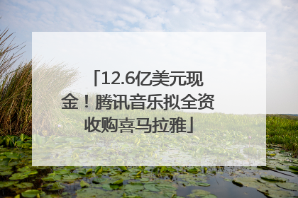 12.6亿美元现金！腾讯音乐拟全资收购喜马拉雅