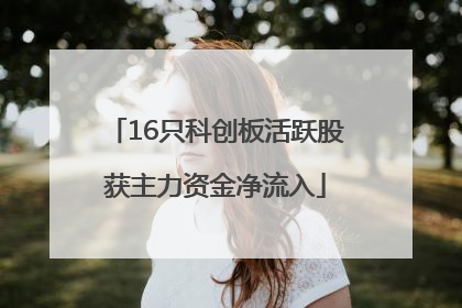16只科创板活跃股获主力资金净流入