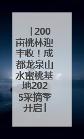 200亩桃林迎丰收！成都龙泉山水蜜桃基地2025采摘季开启