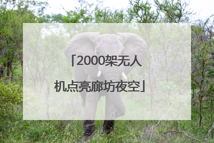2000架无人机点亮廊坊夜空