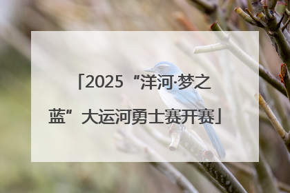 2025“洋河·梦之蓝”大运河勇士赛开赛