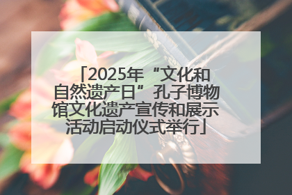 2025年“文化和自然遗产日”孔子博物馆文化遗产宣传和展示活动启动仪式举行