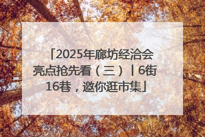 2025年廊坊经洽会亮点抢先看（三）丨6街16巷，邀你逛市集