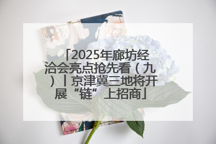 2025年廊坊经洽会亮点抢先看（九）丨京津冀三地将开展“链”上招商