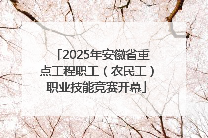 2025年安徽省重点工程职工（农民工）职业技能竞赛开幕