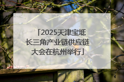 2025天津宝坻长三角产业链供应链大会在杭州举行