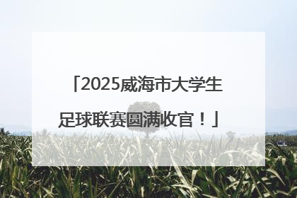 2025威海市大学生足球联赛圆满收官！