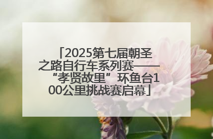 2025第七届朝圣之路自行车系列赛——“孝贤故里”环鱼台100公里挑战赛启幕