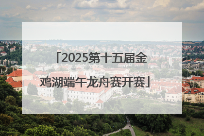 2025第十五届金鸡湖端午龙舟赛开赛
