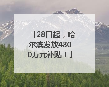 28日起，哈尔滨发放4800万元补贴！