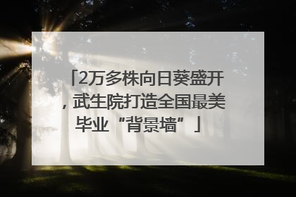 2万多株向日葵盛开，武生院打造全国最美毕业“背景墙”