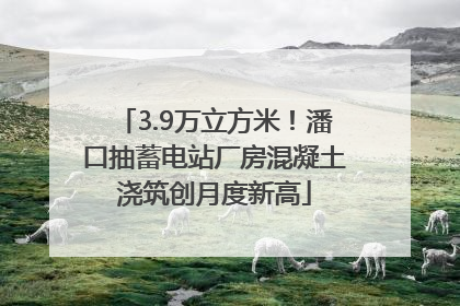 3.9万立方米！潘口抽蓄电站厂房混凝土浇筑创月度新高