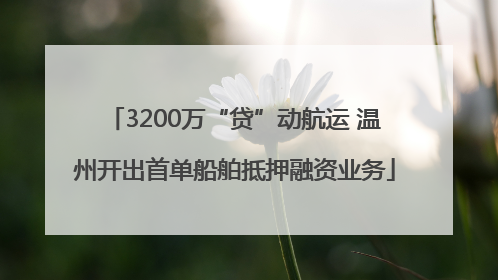3200万“贷”动航运 温州开出首单船舶抵押融资业务