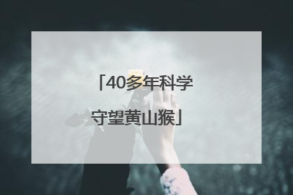 40多年科学守望黄山猴