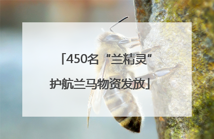 450名“兰精灵”护航兰马物资发放