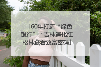 60年打造“绿色银行”：吉林通化红松林藏着致富密码
