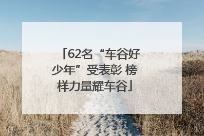 62名“车谷好少年”受表彰 榜样力量耀车谷