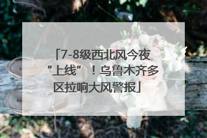 7-8级西北风今夜“上线”！乌鲁木齐多区拉响大风警报