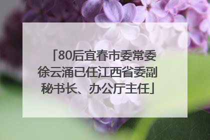 80后宜春市委常委徐云涌已任江西省委副秘书长、办公厅主任